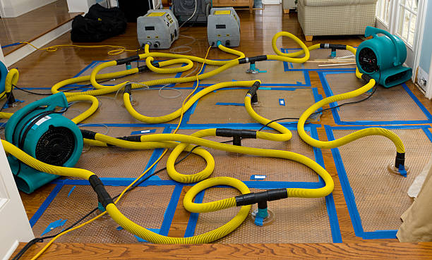 Professional Basement Flood Cleanup technician working in Planada, CA